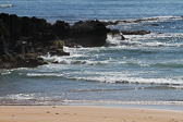 IMG_8672.jpg
