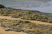 IMG_8686.jpg