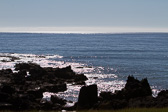 IMG_8707.jpg