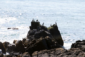 IMG_8708.jpg