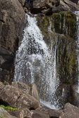 IMG_8744.jpg