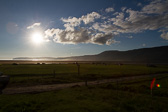 IMG_8917.jpg