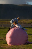 IMG_8994.jpg
