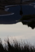 IMG_9247.jpg