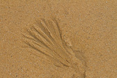 IMG_1998.jpg