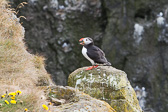 IMG_2085.jpg