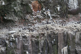 IMG_2095.jpg