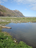 DSC07896.jpg