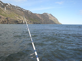 DSC07902.jpg