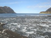 DSC07911.jpg