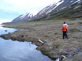 DSC07934.jpg