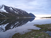 DSC07943.jpg