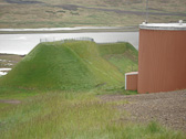 DSC07971.jpg