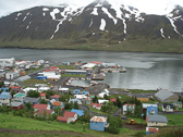 DSC07973.jpg