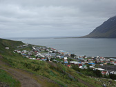 DSC07975.jpg