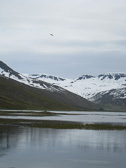 IMG_0589.jpg