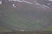 IMG_0766.jpg