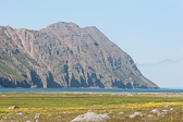 IMG_0786.jpg