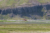 IMG_0794.jpg