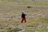IMG_0801.jpg