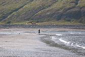 IMG_0861.jpg