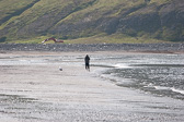 IMG_0879.jpg