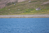IMG_0913.jpg