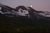 IMG_0954.jpg