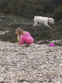 IMG_4510.jpg