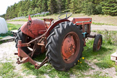 IMG_8129.jpg