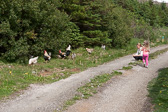 IMG_8133.jpg
