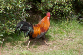 IMG_8143.jpg