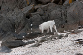 IMG_8186.jpg