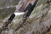 IMG_8193.jpg