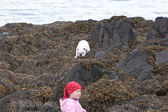 IMG_8215.jpg