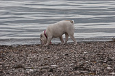IMG_8224.jpg