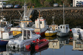 IMG_0123.jpg