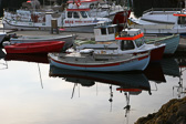 IMG_0166.jpg