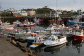 IMG_0172.jpg