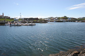 IMG_0223.jpg
