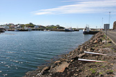 IMG_0225.jpg