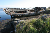 IMG_0325.jpg