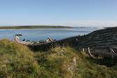 IMG_0329.jpg