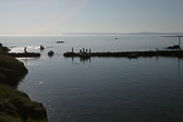 IMG_0373.jpg