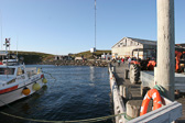 IMG_0420.jpg