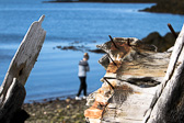 IMG_0194-Edit.jpg
