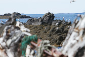 IMG_0202.jpg