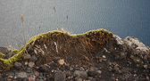 DSC05085.jpg