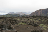 IMG_0195.jpg