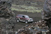 IMG_0198.jpg